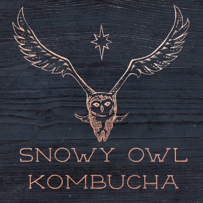 Snowy Owl Kombucha